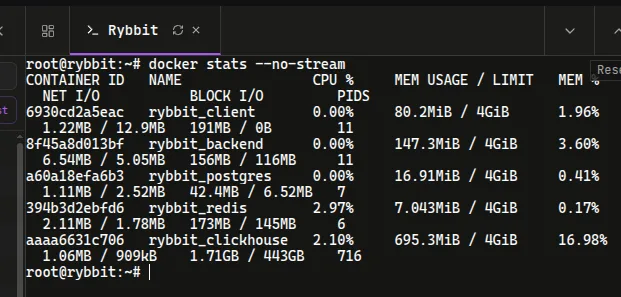 Terminal output from 'docker stats' showing CPU and memory usage for the Rybbit analytics container stack including ClickHouse, Postgres, and Redis.